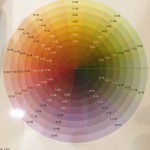 メラニンのお話。