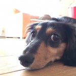 各スタイリスト夏休みのお知らせ！