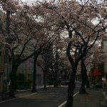 気持ちも新たに！