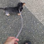 夏の朝のルーティン