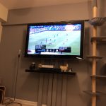 サッカーしたくなる〜